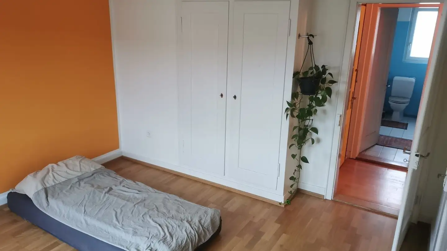 Single room for rent - Tösstalstrasse 83, 8400 Winterthur