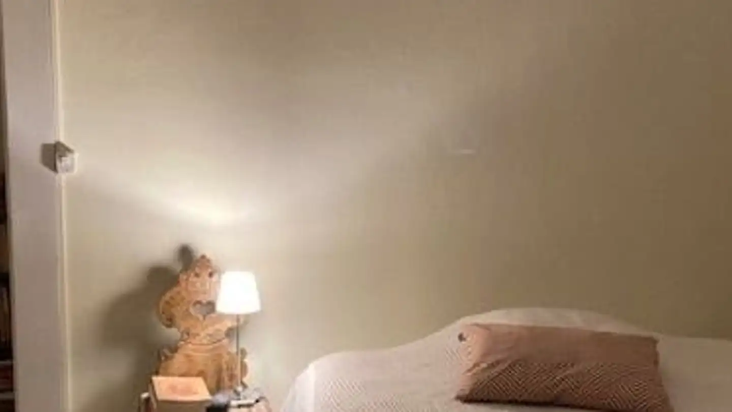 Apartment for rent - 1225 Chêne-Bourg - Photo 3