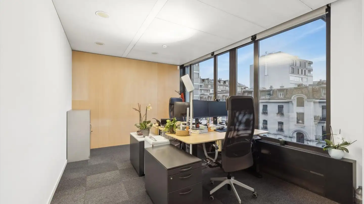 Commerciale in affitto - Avenue De Champel 8c, 1206 Genève - Foto 2