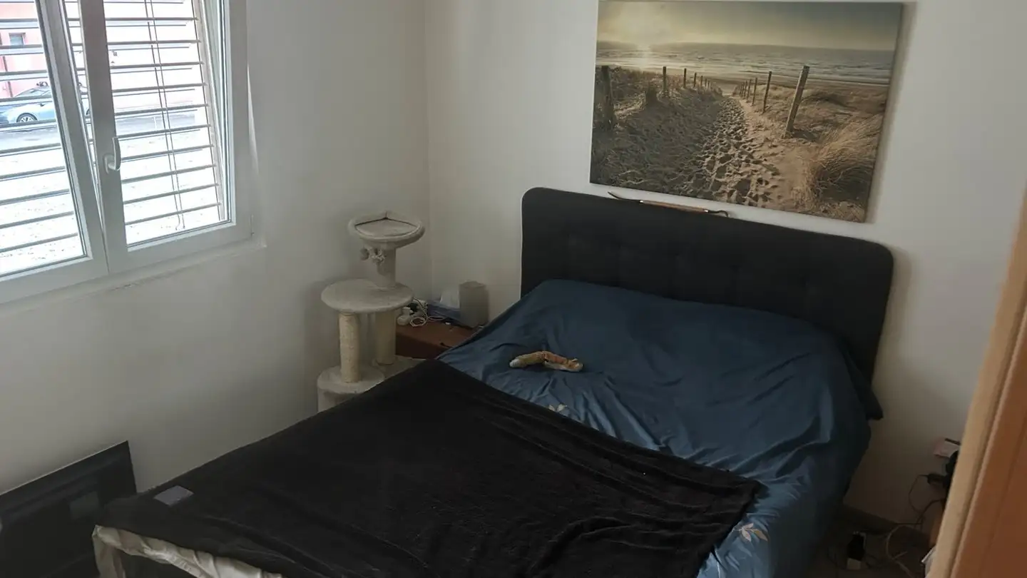 Wohnung mieten - Carrale di Bergamo 46, 6532 Castione - Foto 2