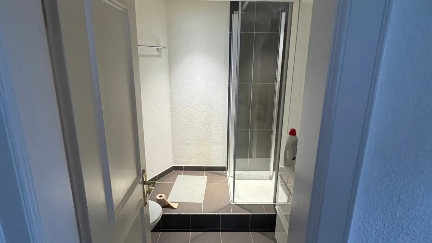 Apartment for rent - Bergstrasse 109, 8032 Zürich - Photo 4