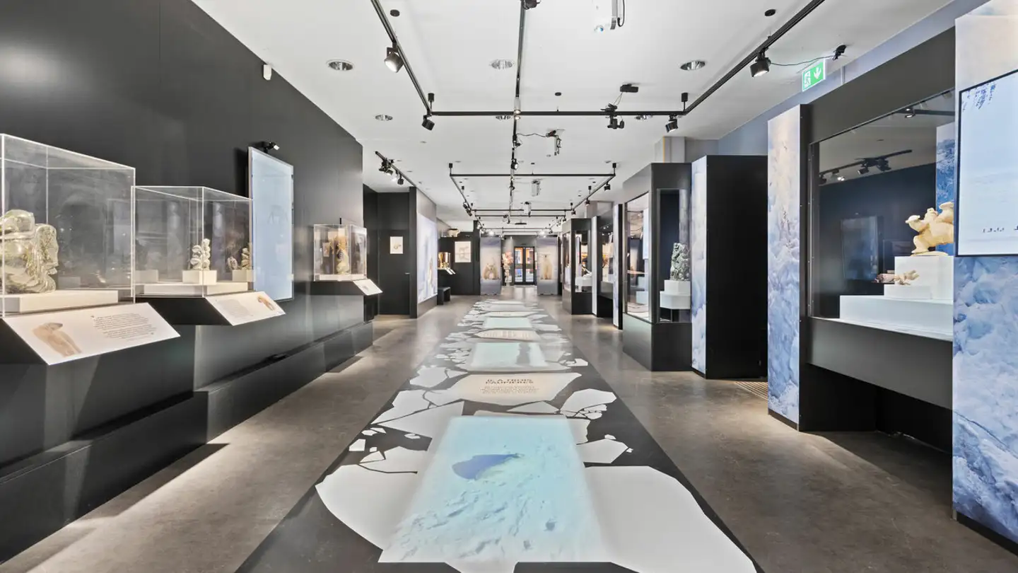 Commercial for sale - Route De Crans-Montana, 3963 Montana