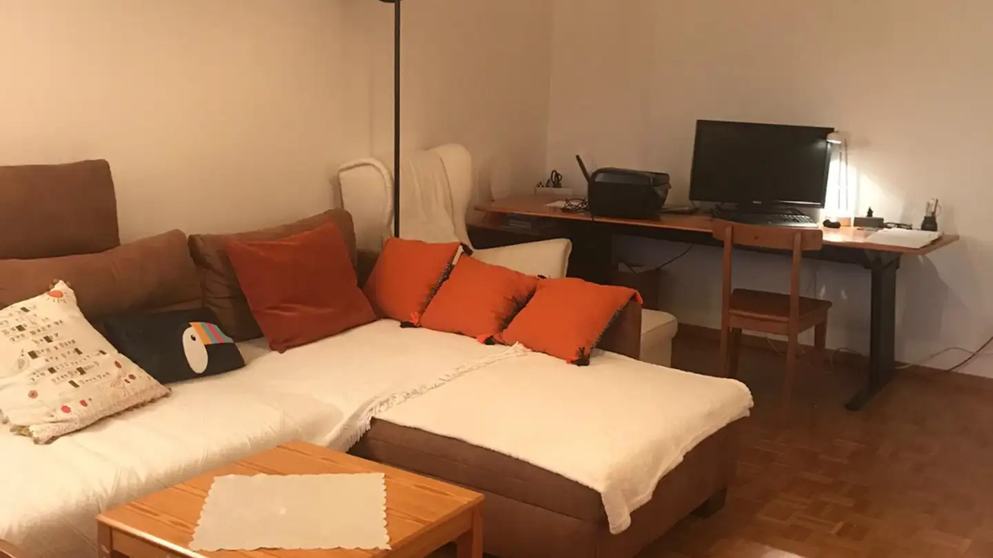 Apartment for rent - Sihlmatten 14, 8134 Adliswil - Photo 4