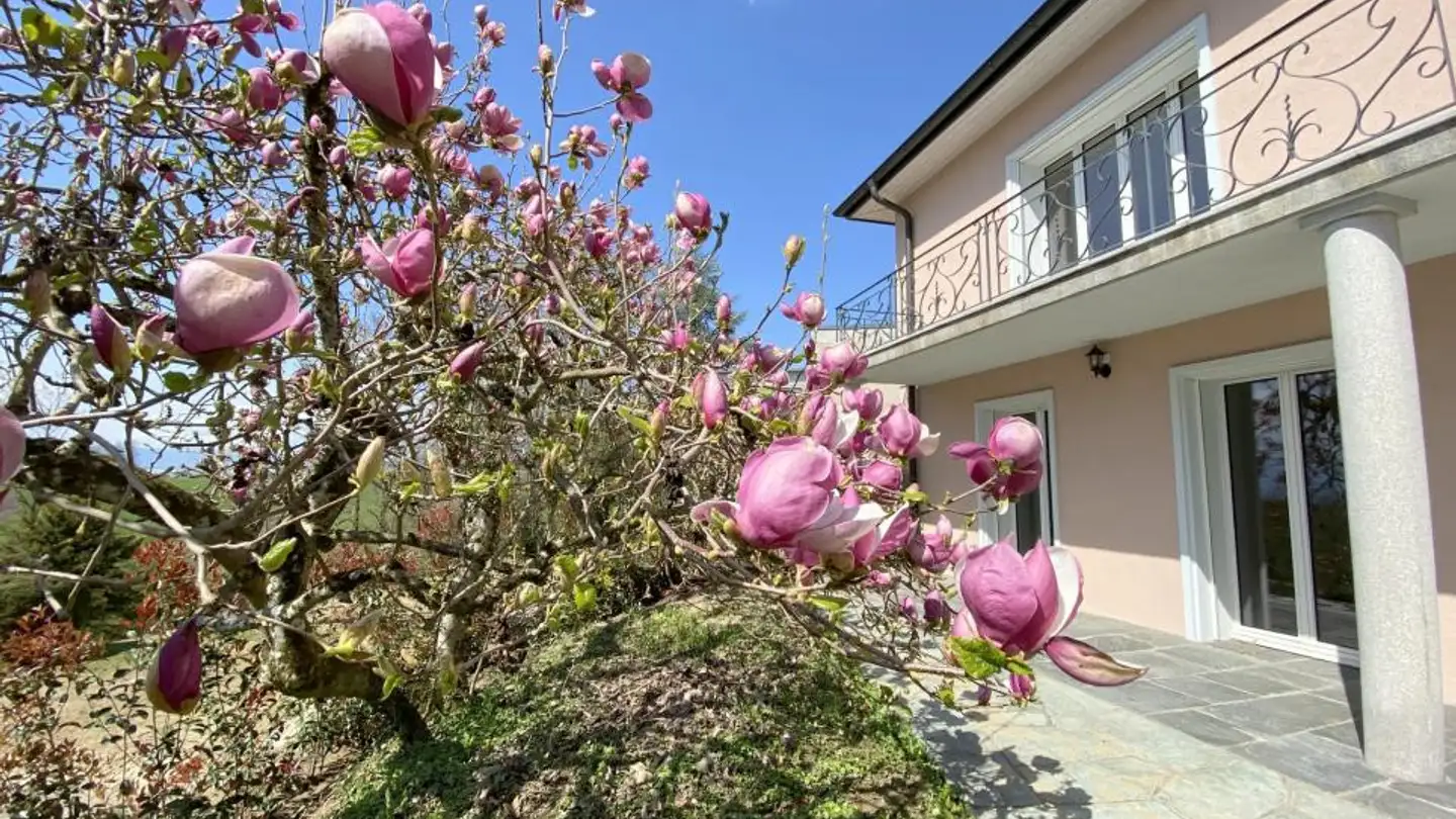 Villa à vendre - 1052 Le Mont-sur-Lausanne - Photo 3