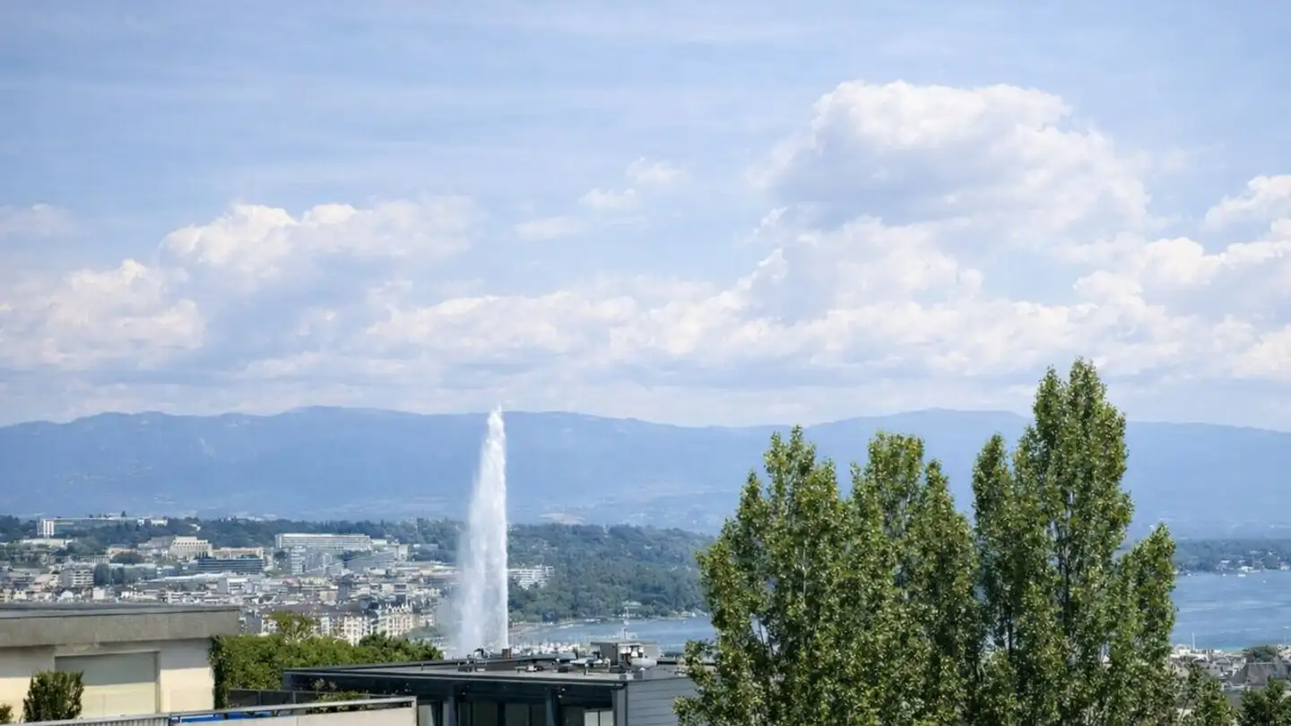 Appartement à louer - 1202 Genève