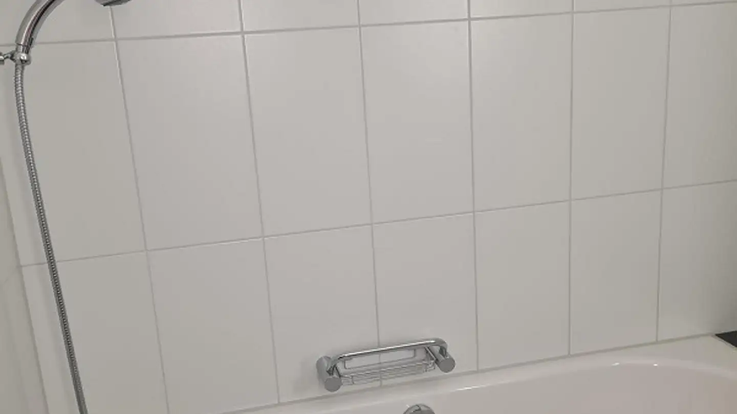Appartamento in affitto - Haslenstrasse 15, 8903 Birmensdorf ZH - Foto 3