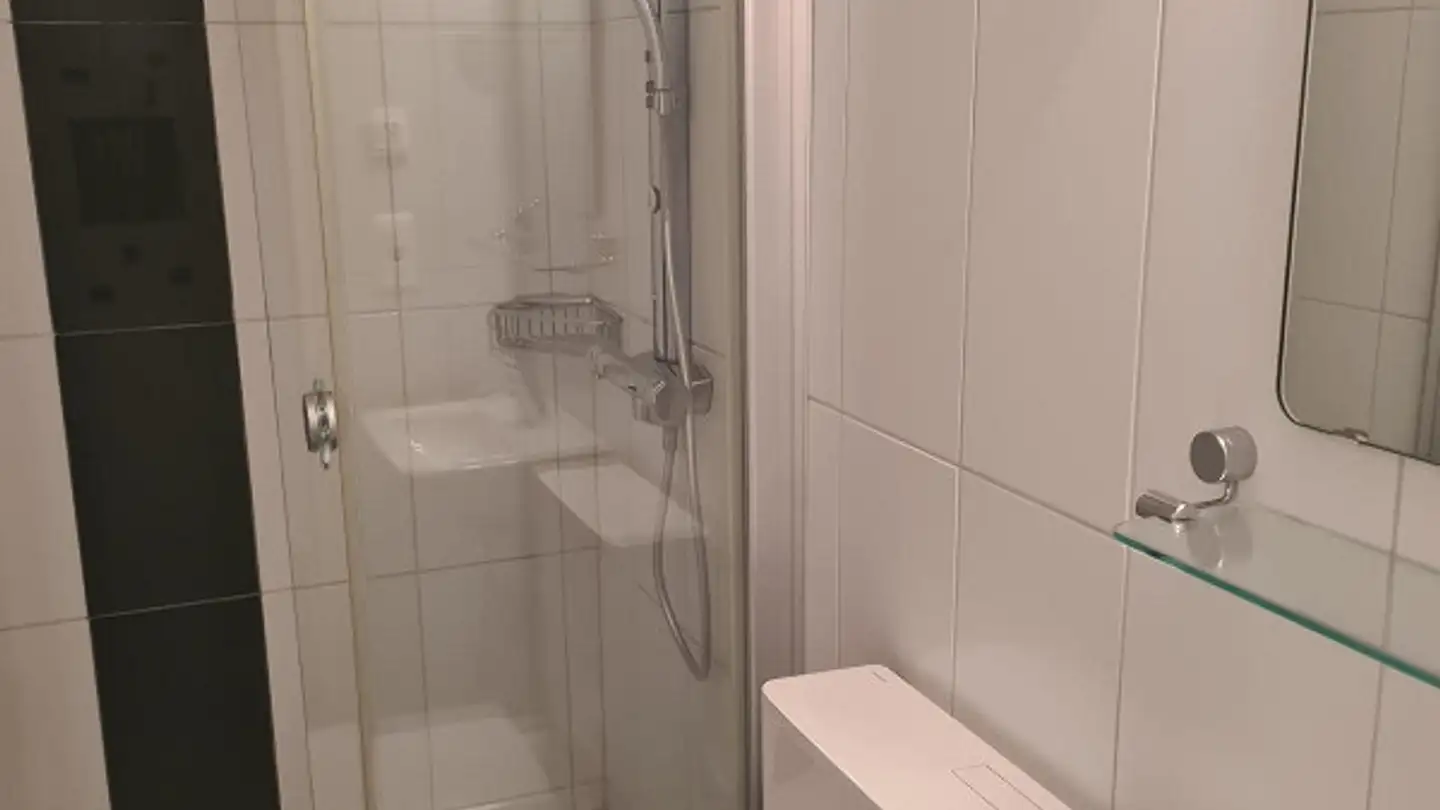 Appartamento in affitto - Haslenstrasse 15, 8903 Birmensdorf ZH