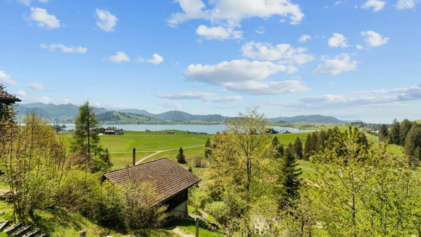 Single house for sale - Reckholdern 18, 8846 Willerzell