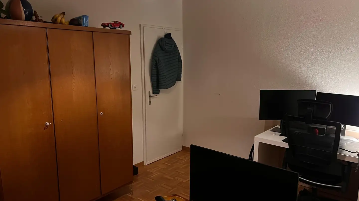 Single room for rent - Luchswiesenstrasse 156, 8051 Zürich - Photo 2