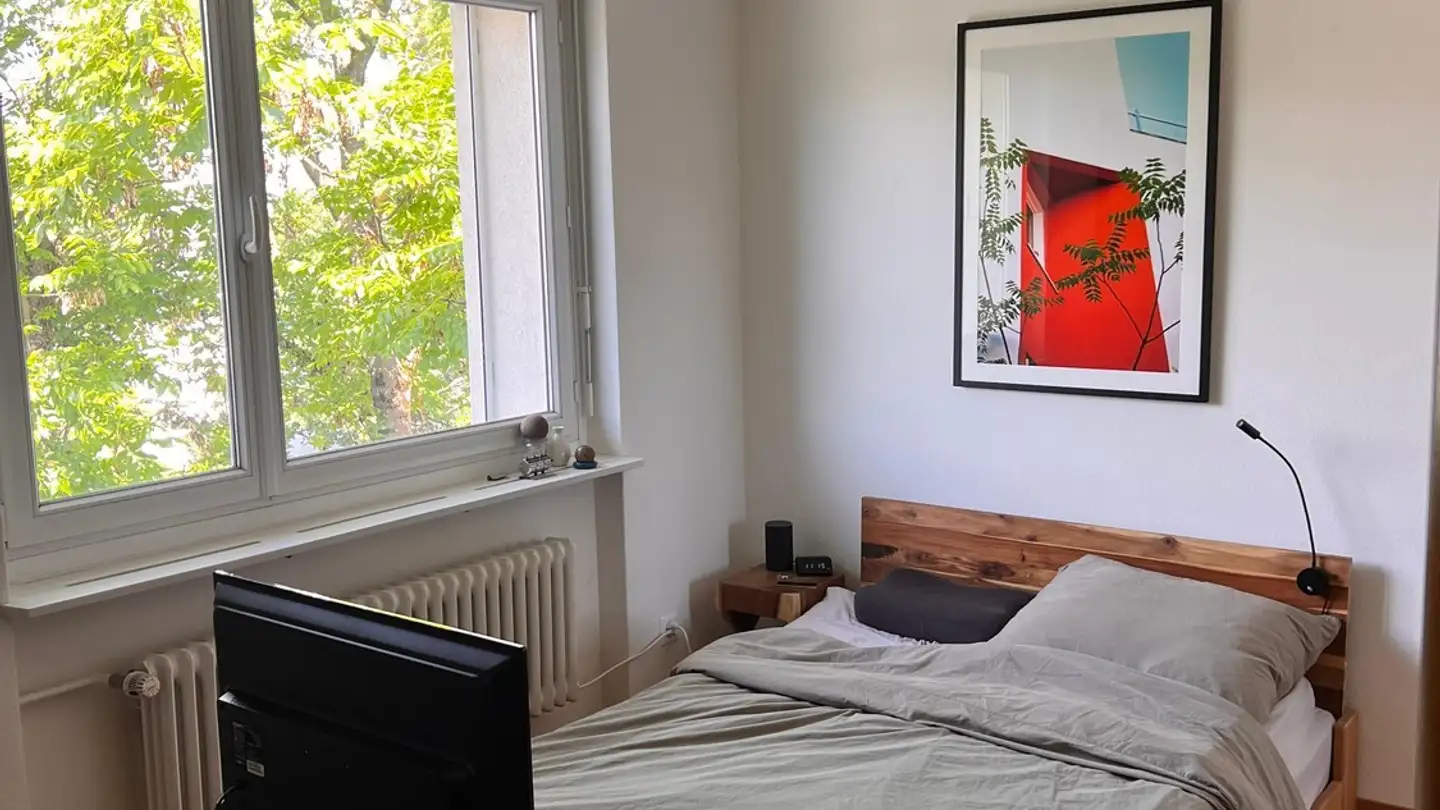 Single room for rent - Luchswiesenstrasse 156, 8051 Zürich