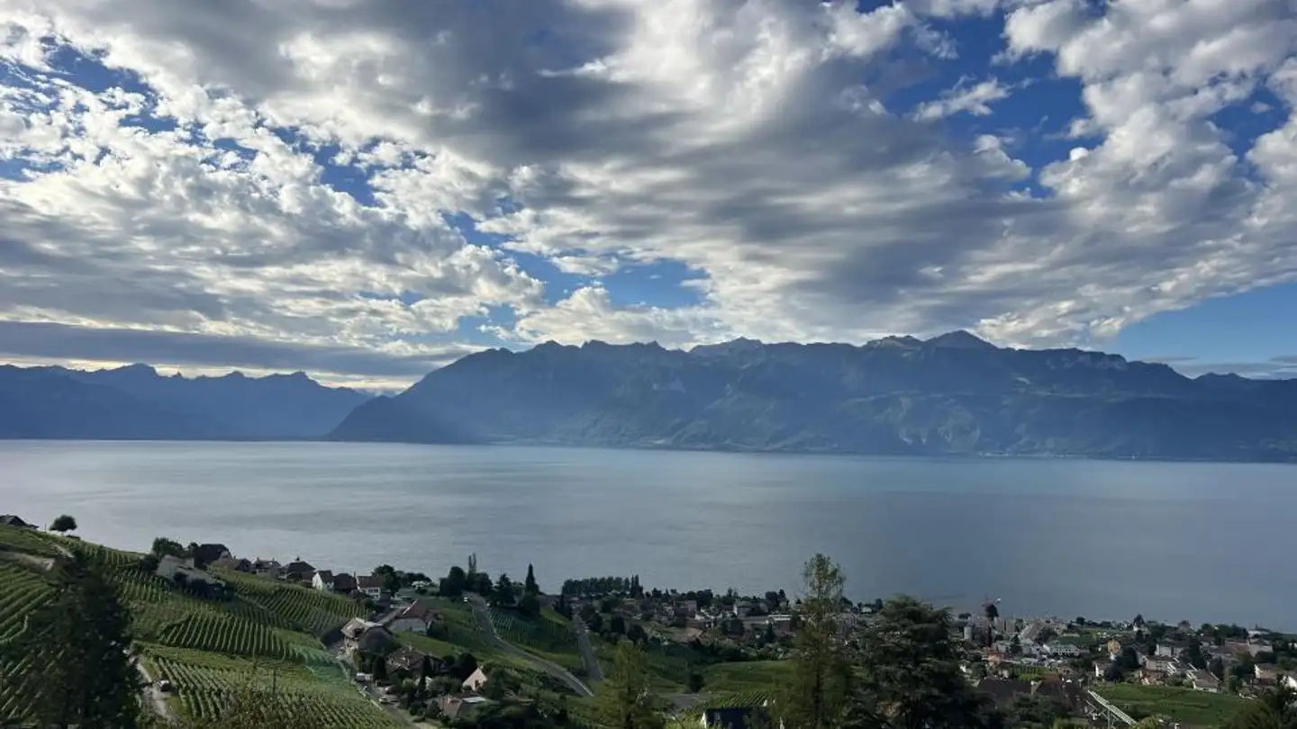 Bauland kaufen - Chemin de la Criblette 2, 1091 Grandvaux