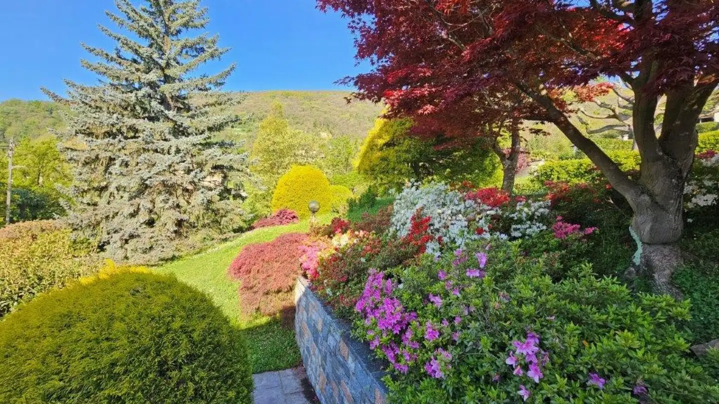 Villa in affitto - Via Cadebrenno 1, 6935 Bosco Luganese - Photo 3