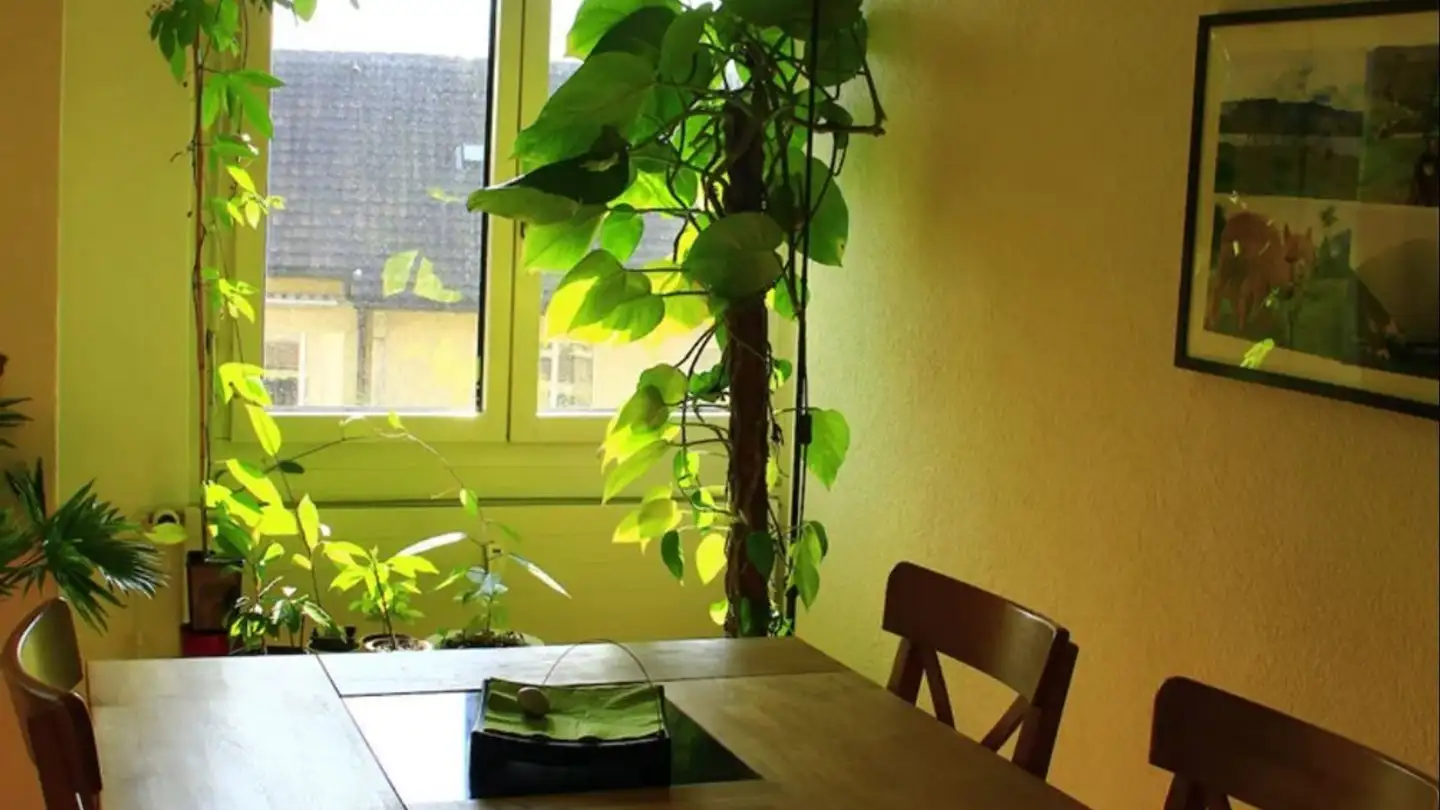 Appartamento in affitto - 3600 Thun - Photo 3