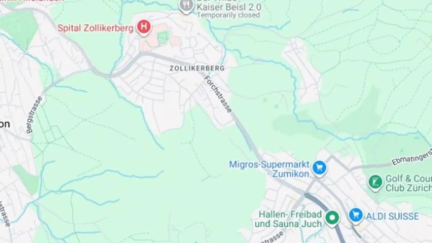 Appartement à vendre - 8125 Zollikerberg