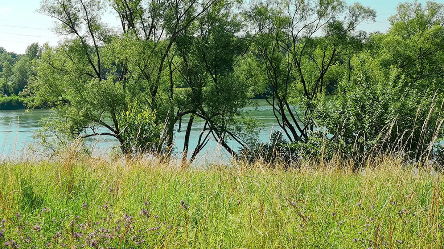 Apartment for sale - 5000 Aarau - Photo 3