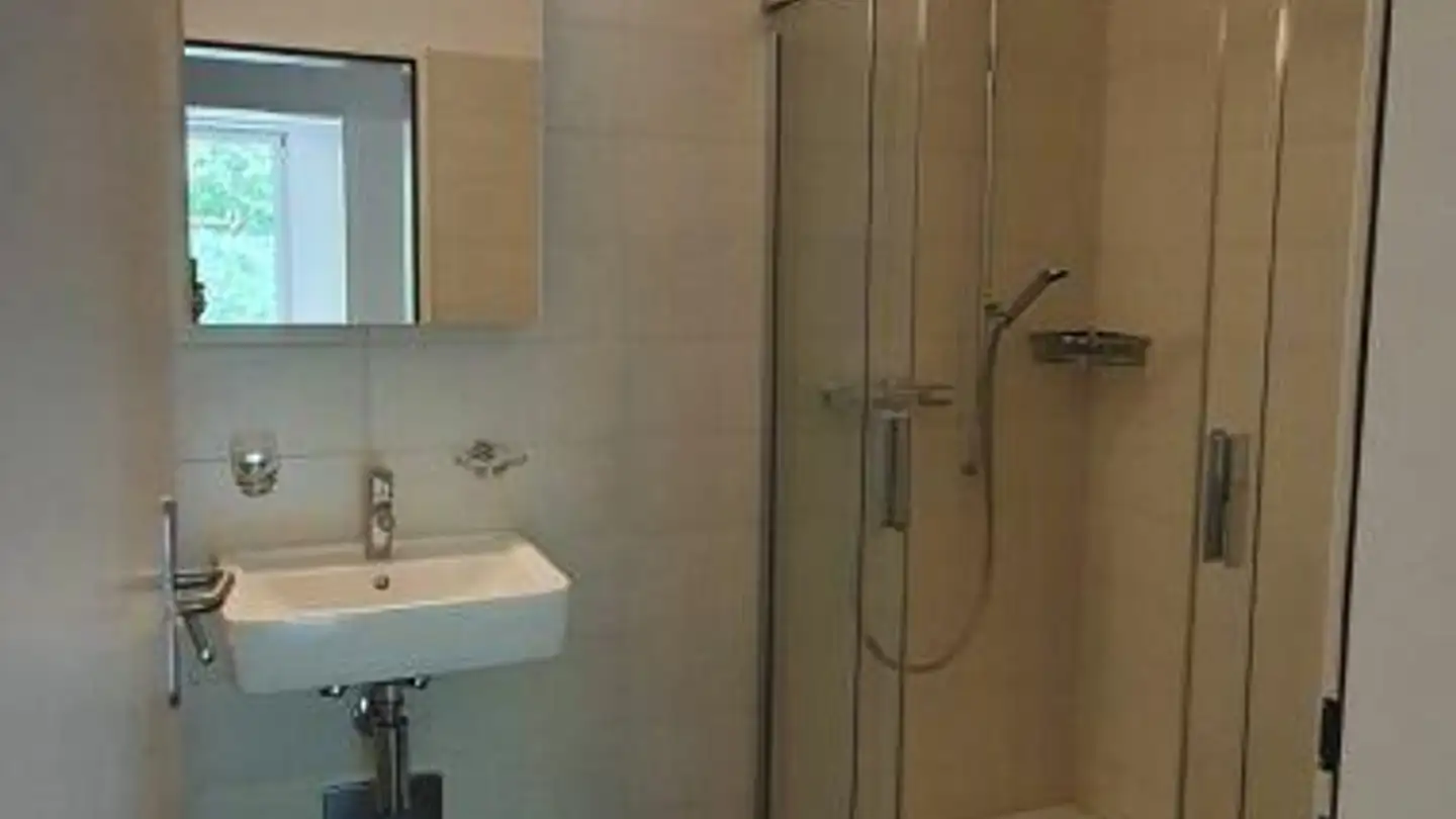 Appartement à louer - Steinrieselnstrasse 5, 9100 Herisau - Photo 4