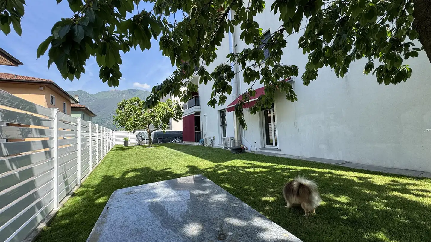 Wohnung kaufen - Via Pedemontana, 6592 S. Antonino - Foto 2