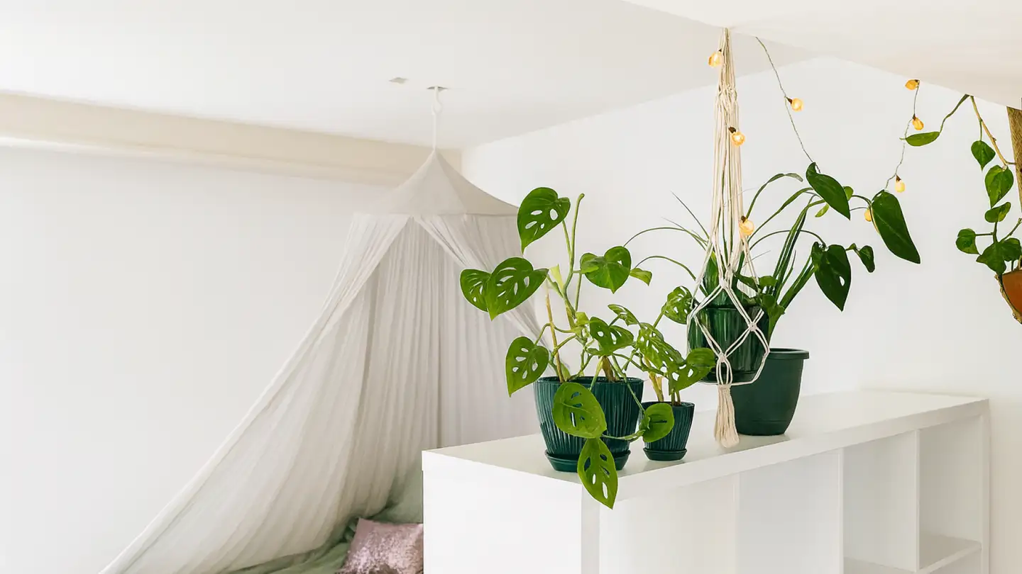 Appartamento in affitto - 8408 Winterthur - Photo 2