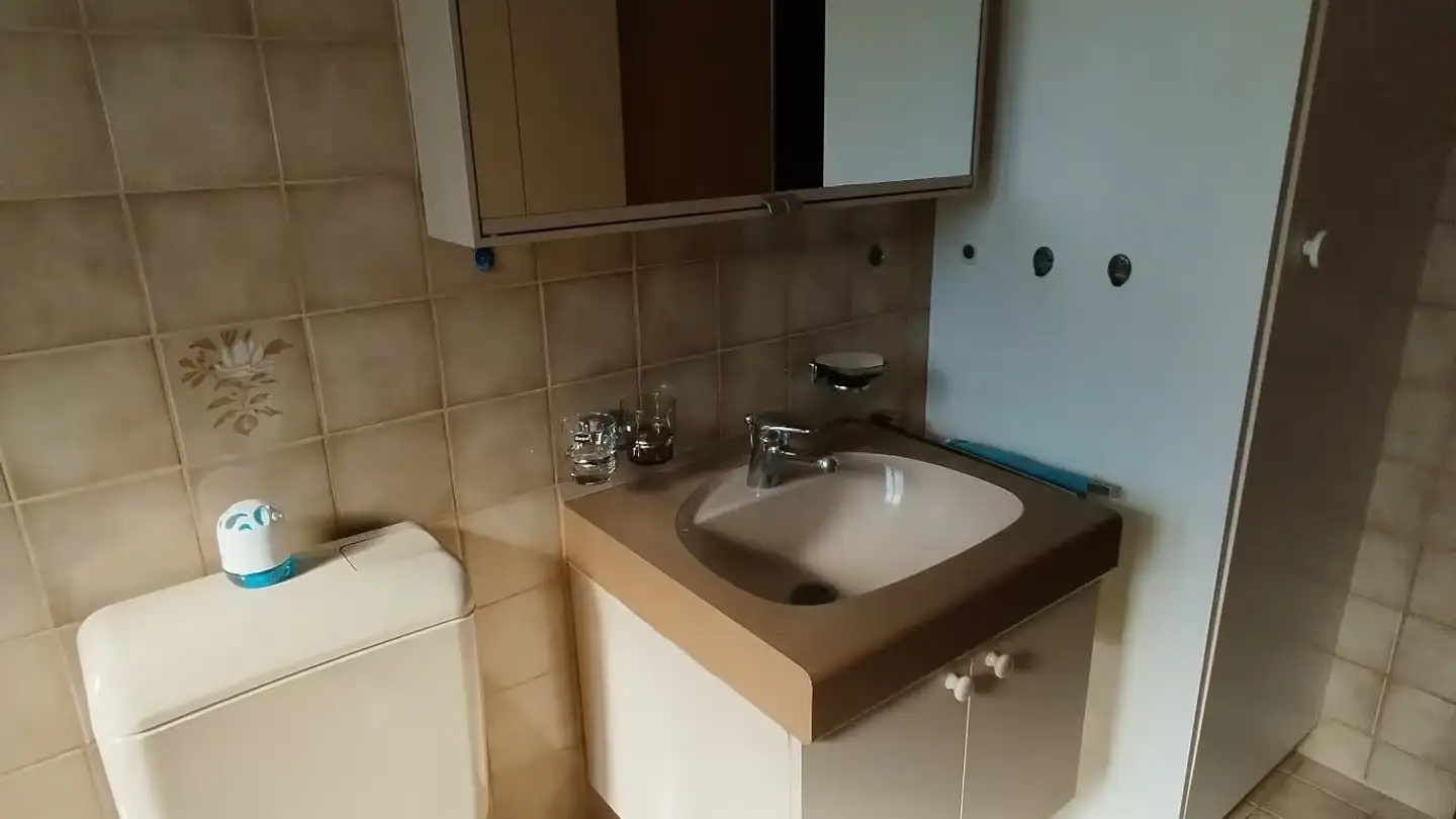 Appartement à louer - Moosweg 1, 5628 Aristau - Photo 3
