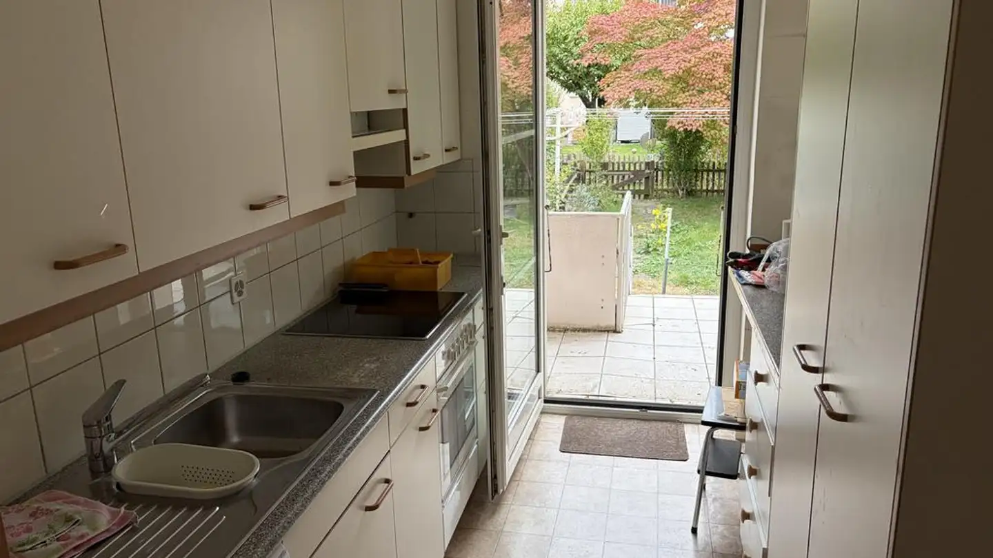 Maison individuelle à vendre - Steinbühlallee 145, 4054 Basel - Photo 2