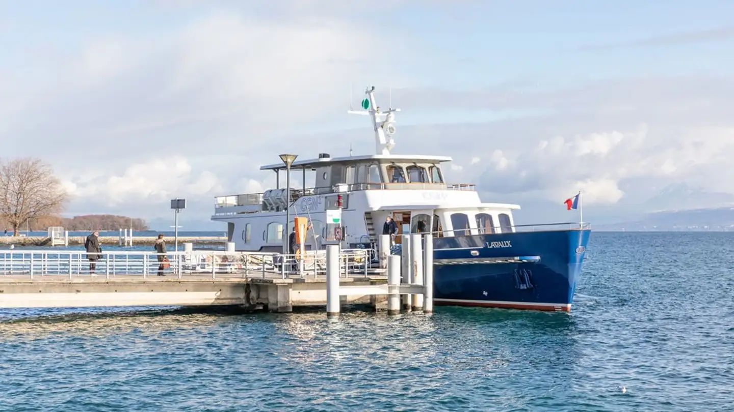 Villa kaufen - 1260 Nyon