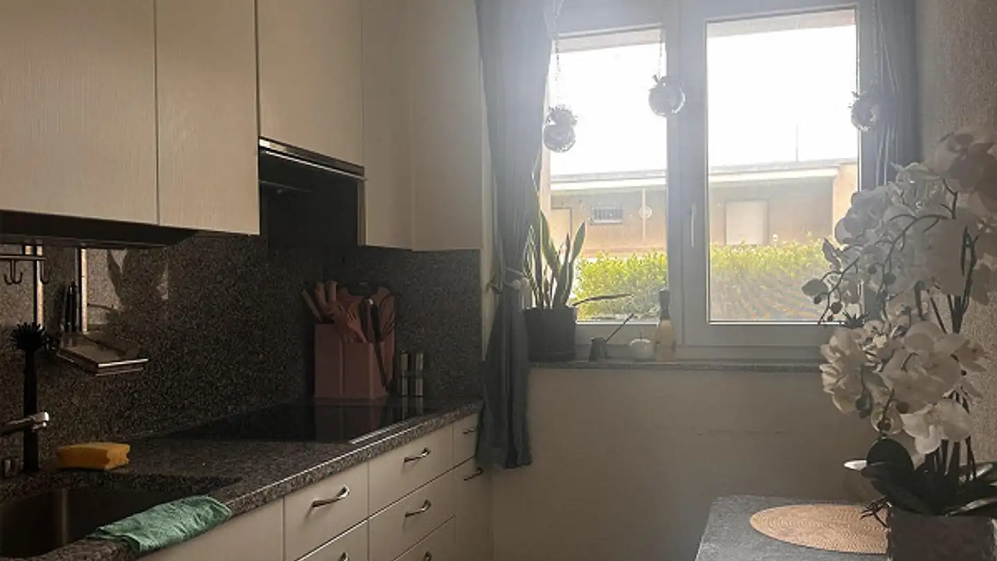 Wohnung mieten - Neue Winterthurerstrasse 85, 8304 Wallisellen - Foto 2