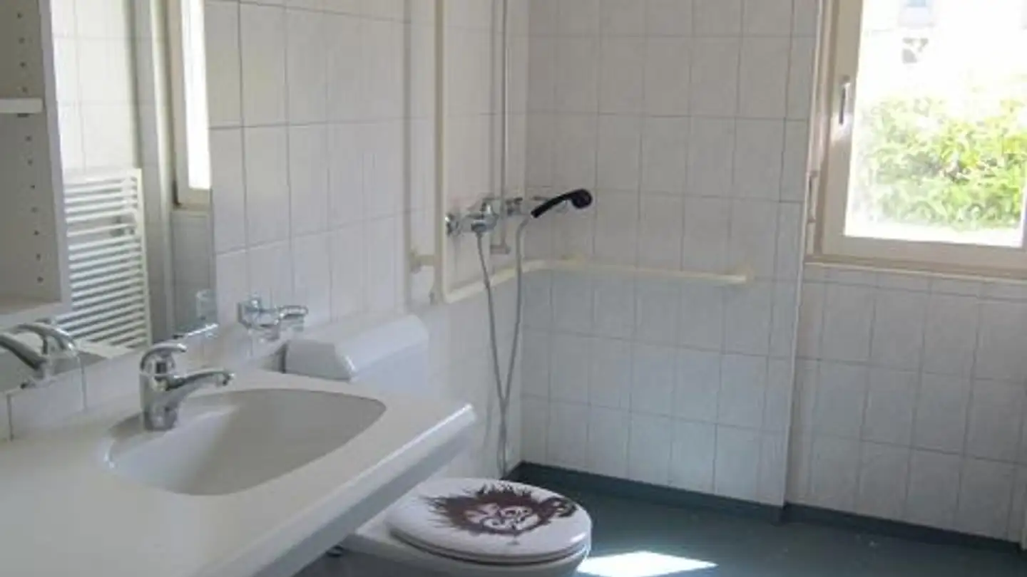 Attico in affitto - Hauptstrasse 2, 4116 Metzerlen - Foto 4