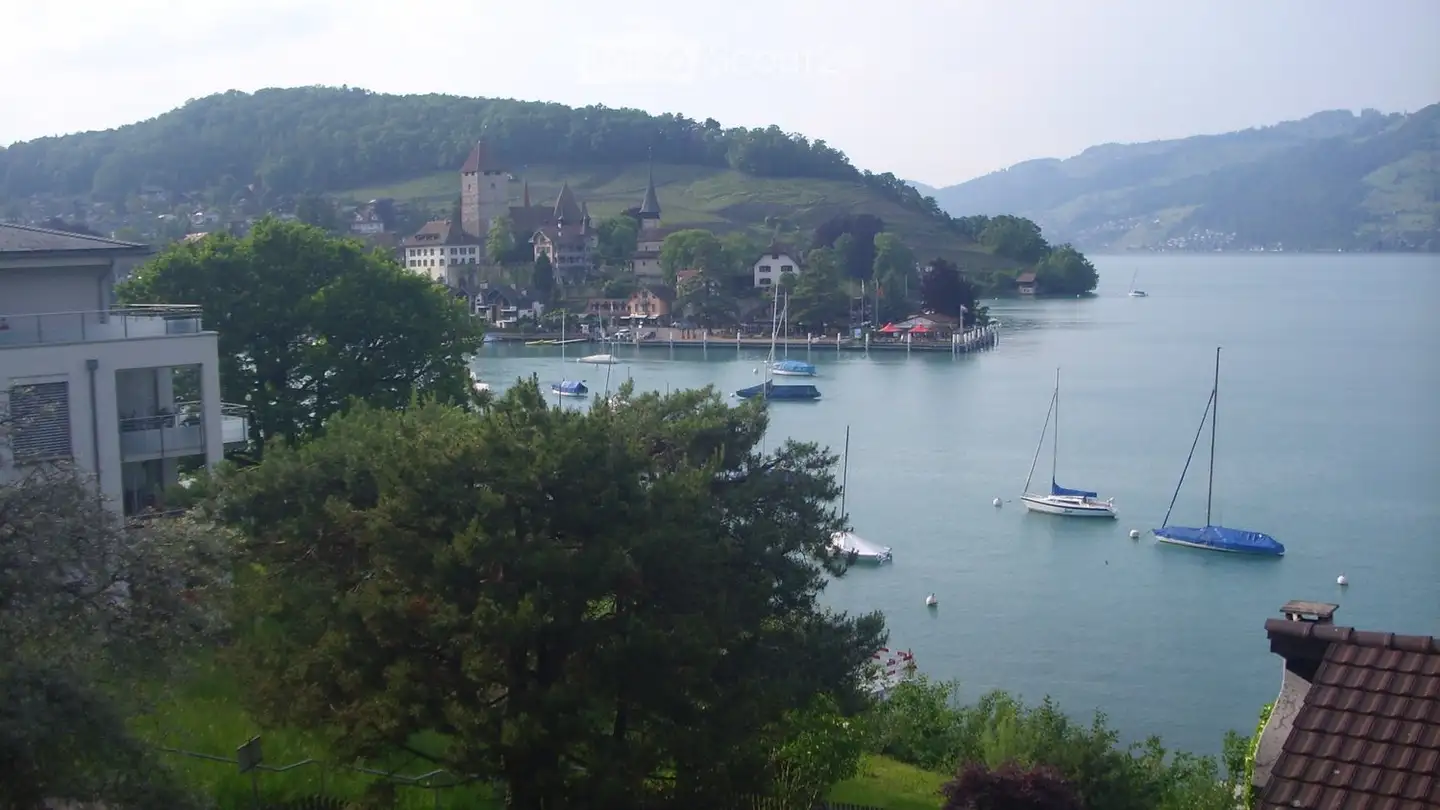 Maison individuelle à louer - 3700 Spiez - Photo 3