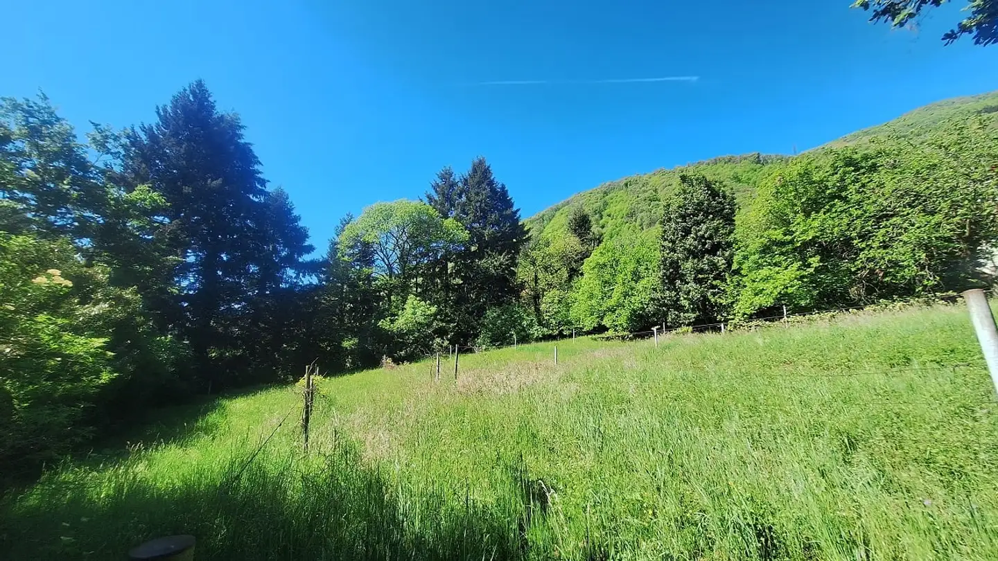 Terrain constructible à vendre - 6900 Lugano - Photo 4