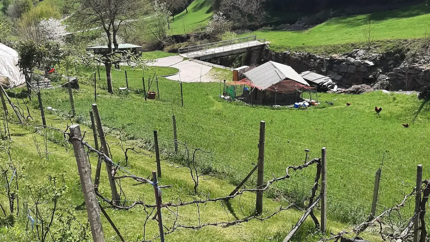 Einfamilienhaus kaufen - Via Sassello 17, 6723 Marolta - Foto 4