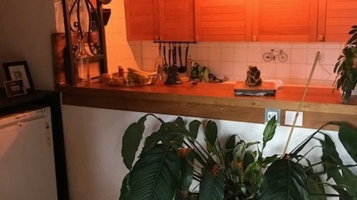 Wohnung mieten - Rue De La Samaritaine 2, 1700 Fribourg - Foto 2