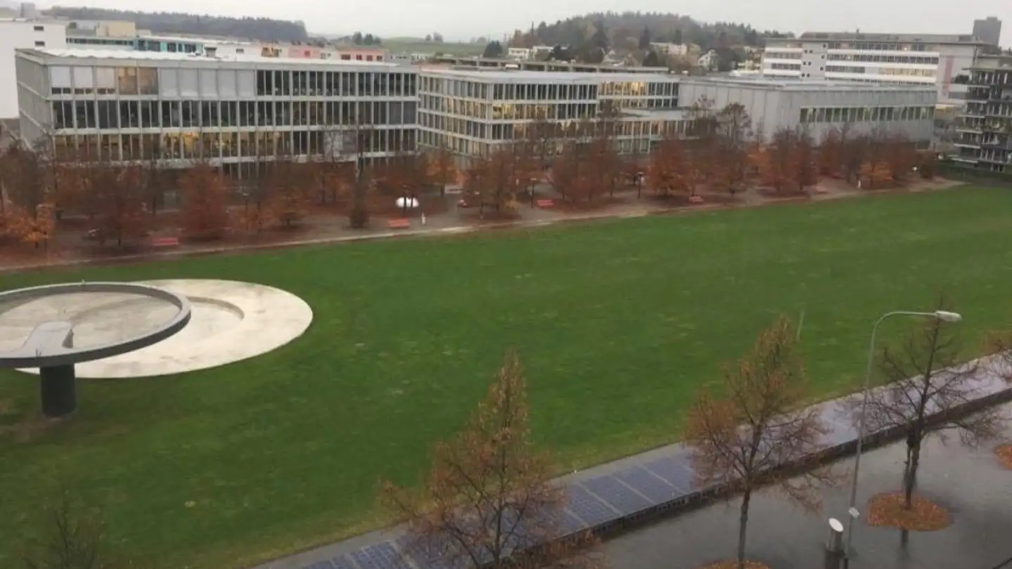 Studio à louer - Ruedi-Walter-Strasse 4, 8050 Zürich - Photo 3