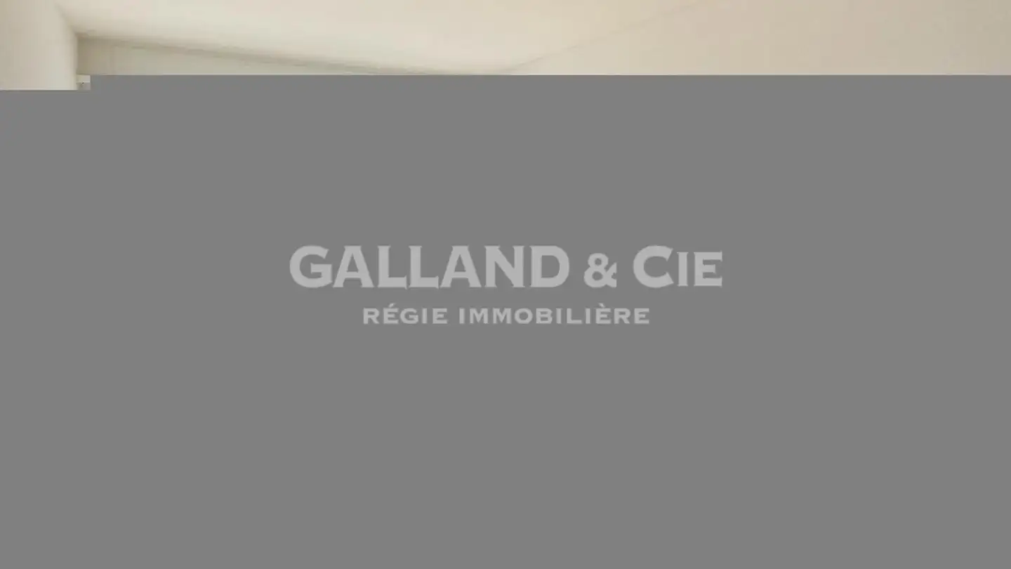 Appartamento in affitto - Chemin De La Fauvette 4b, 1012 Lausanne - Photo 3