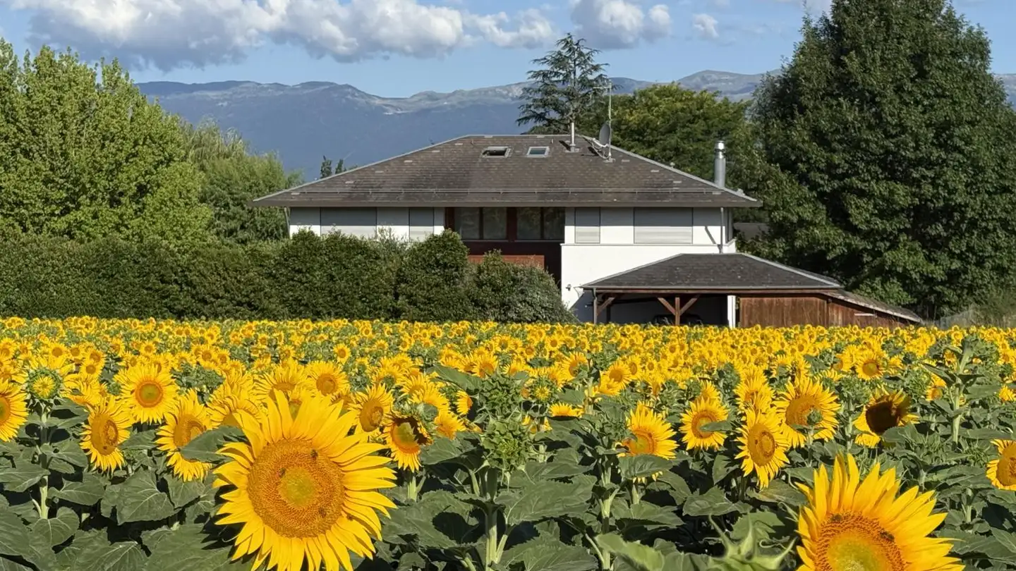 Villa for sale - 1246 Corsier GE
