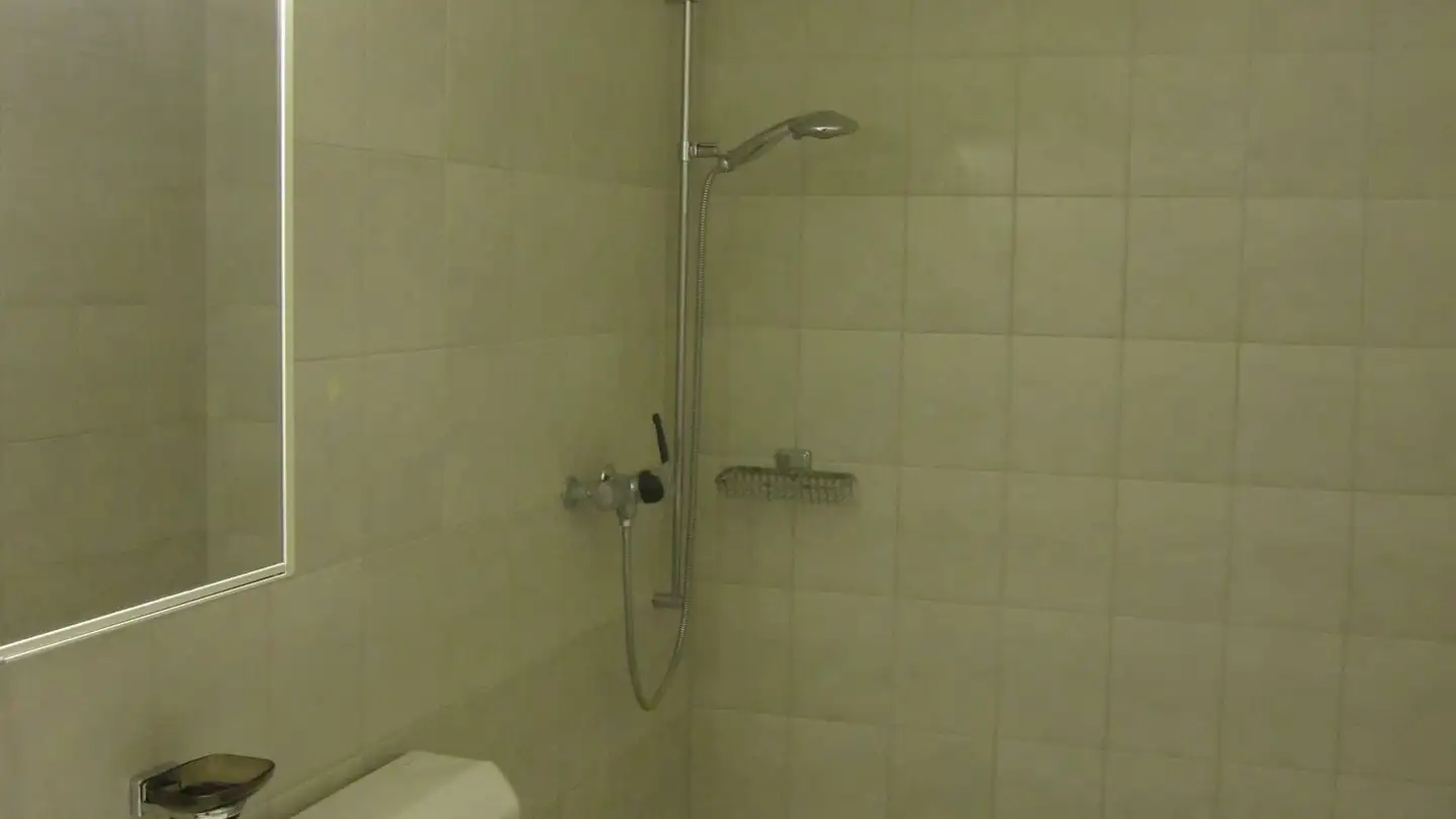 Apartment for rent - Schlierenstrasse 4, 8142 Uitikon Waldegg - Photo 4