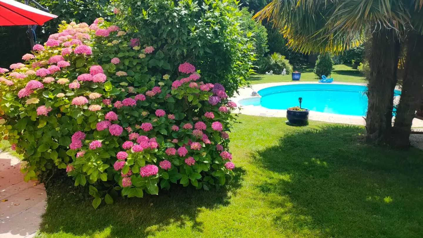 Casa a gradini in vendita - 1299 Crans-près-Céligny - Foto 3