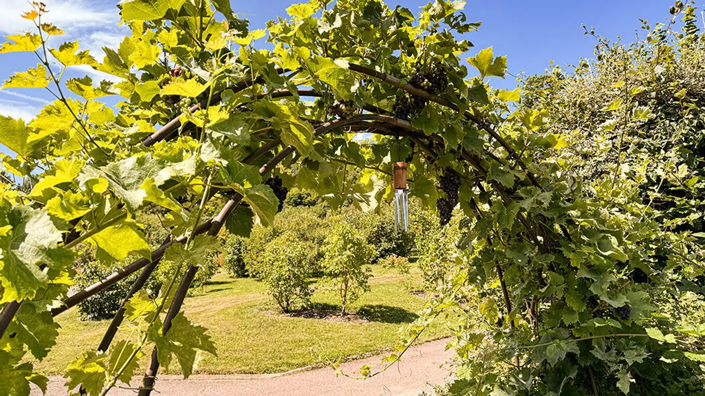 Residential building for sale - 8004 Zürich - Photo 2