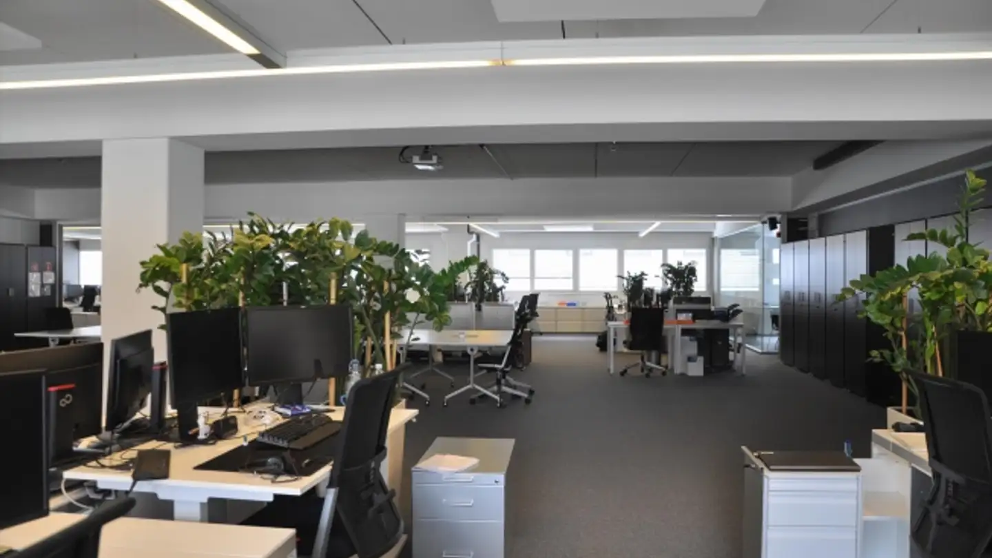 Spazio ufficio in affitto - Via D'argine 5, 6930 Bedano - Photo 2