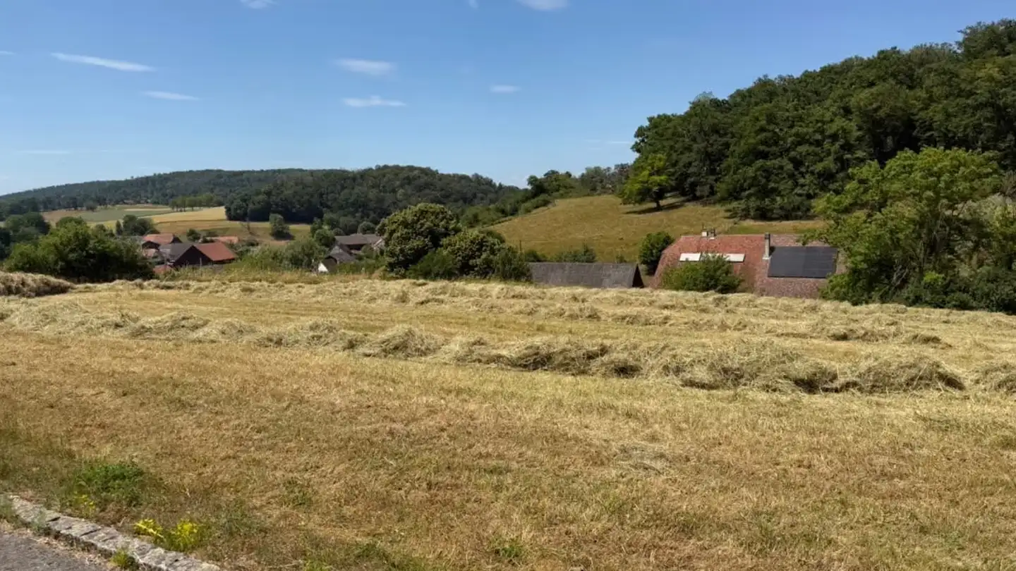 Terreno edificabile in vendita - La Côtatte, 2935 Beurnevésin - Foto 2