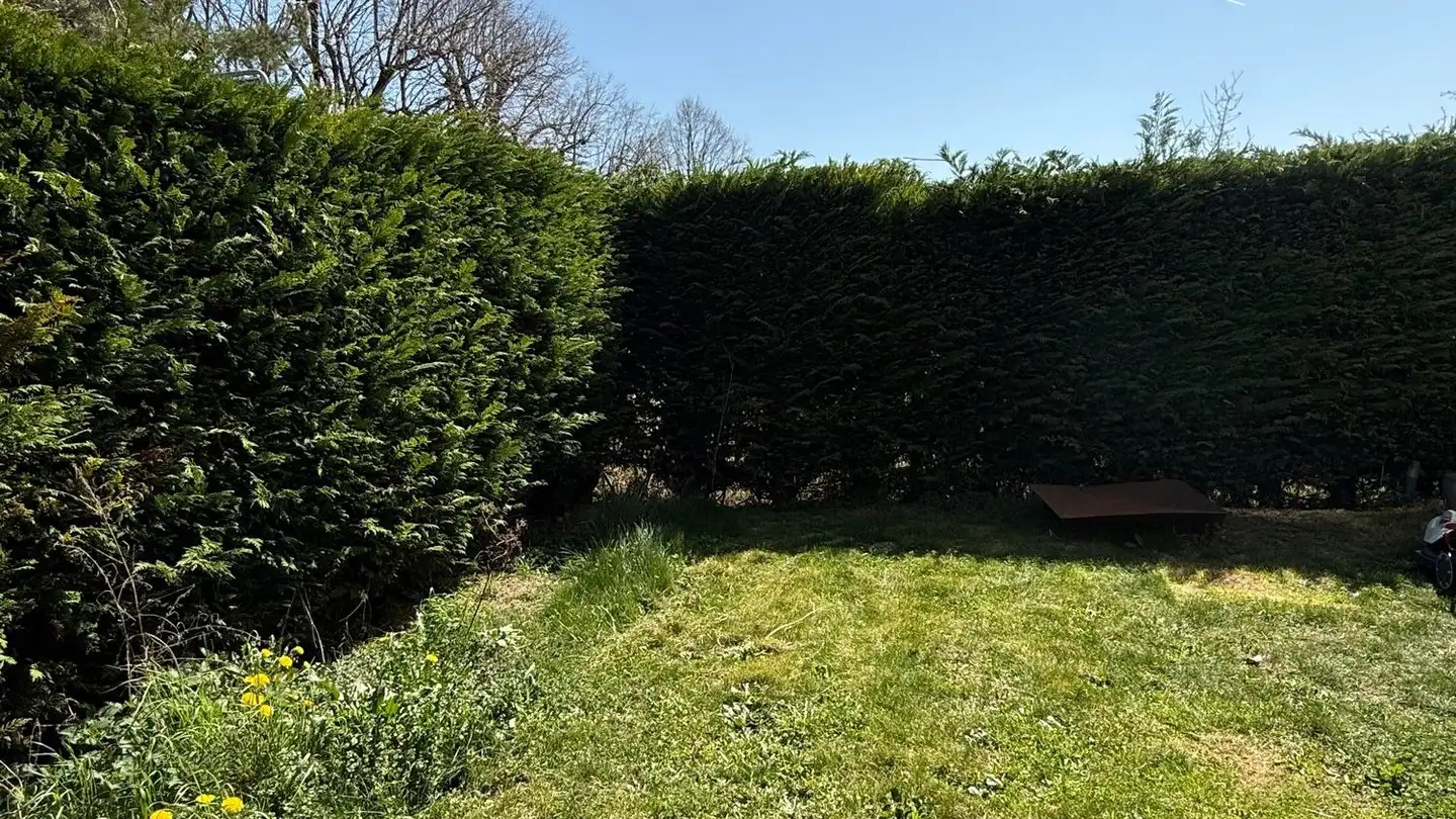 Appartamento in affitto - Route De Duillier 12, 1272 Genolier - Photo 3