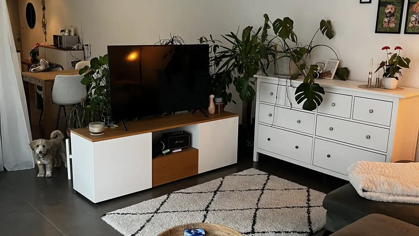 Appartamento in affitto - St. Gallerstrasse 48, 8400 Winterthur