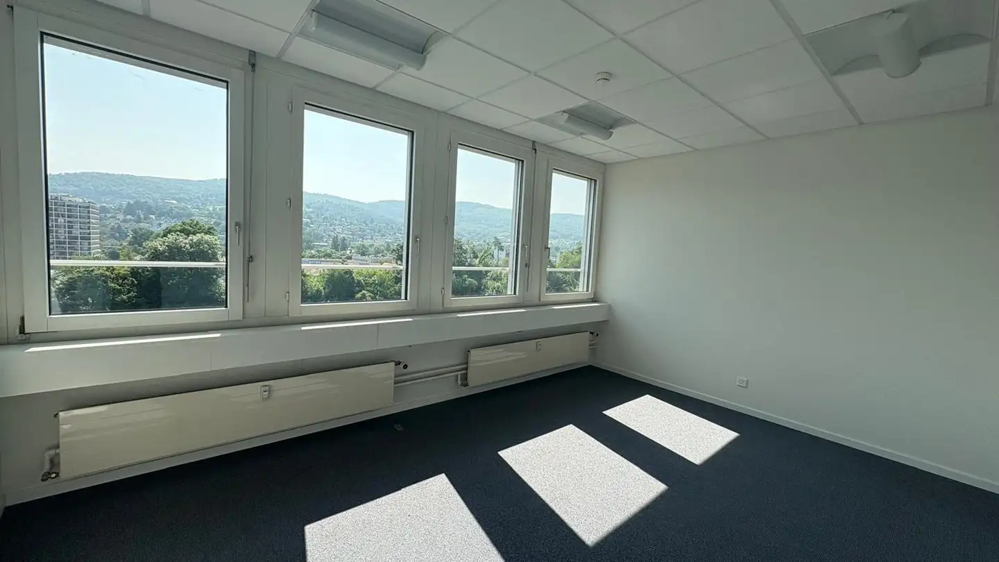 Proprietà industriale in affitto - Christoph Merian-Ring 29a, 4153 Reinach BL - Photo 2