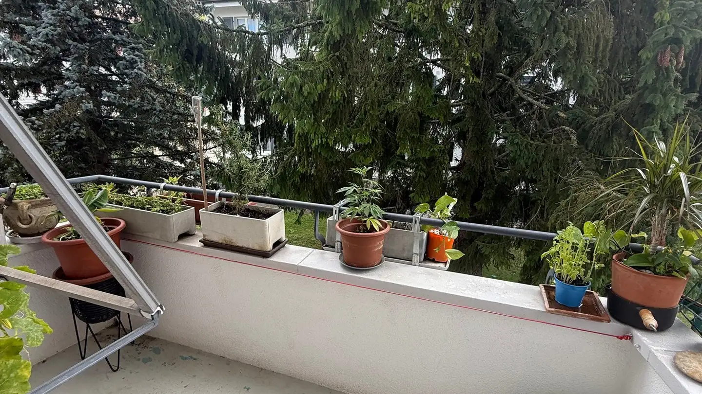 Appartamento in affitto - Rue Des Prés / Mattenstrasse 154, 2503 Biel/Bienne