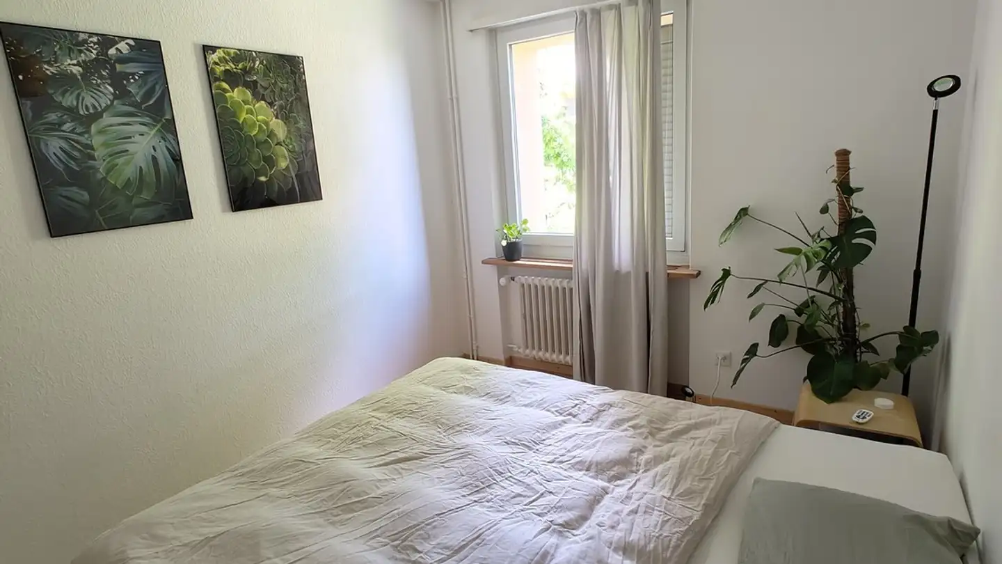 Wohnung mieten - 8049 Zürich