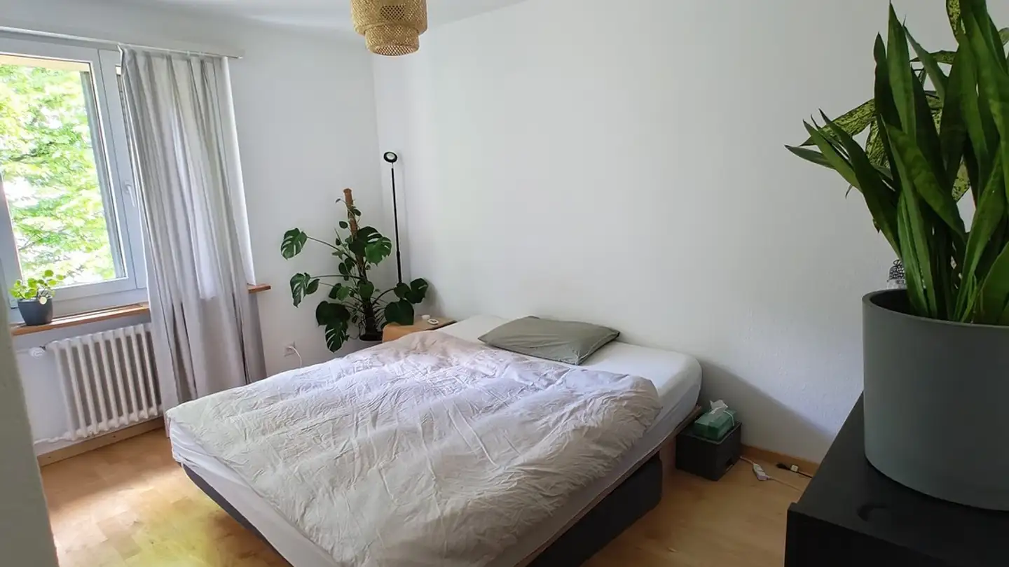 Wohnung mieten - 8049 Zürich - Foto 4