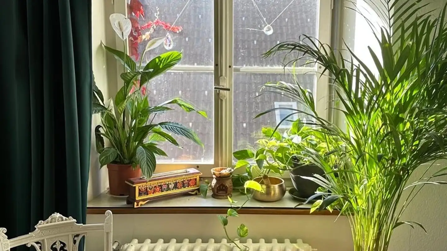 Single room for rent - 8330 Pfäffikon ZH