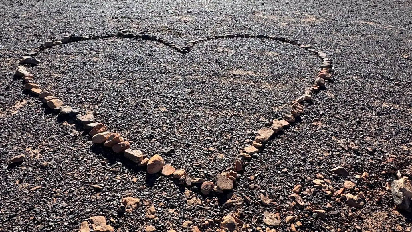 Wohnung mieten - 1225 Chêne-Bourg