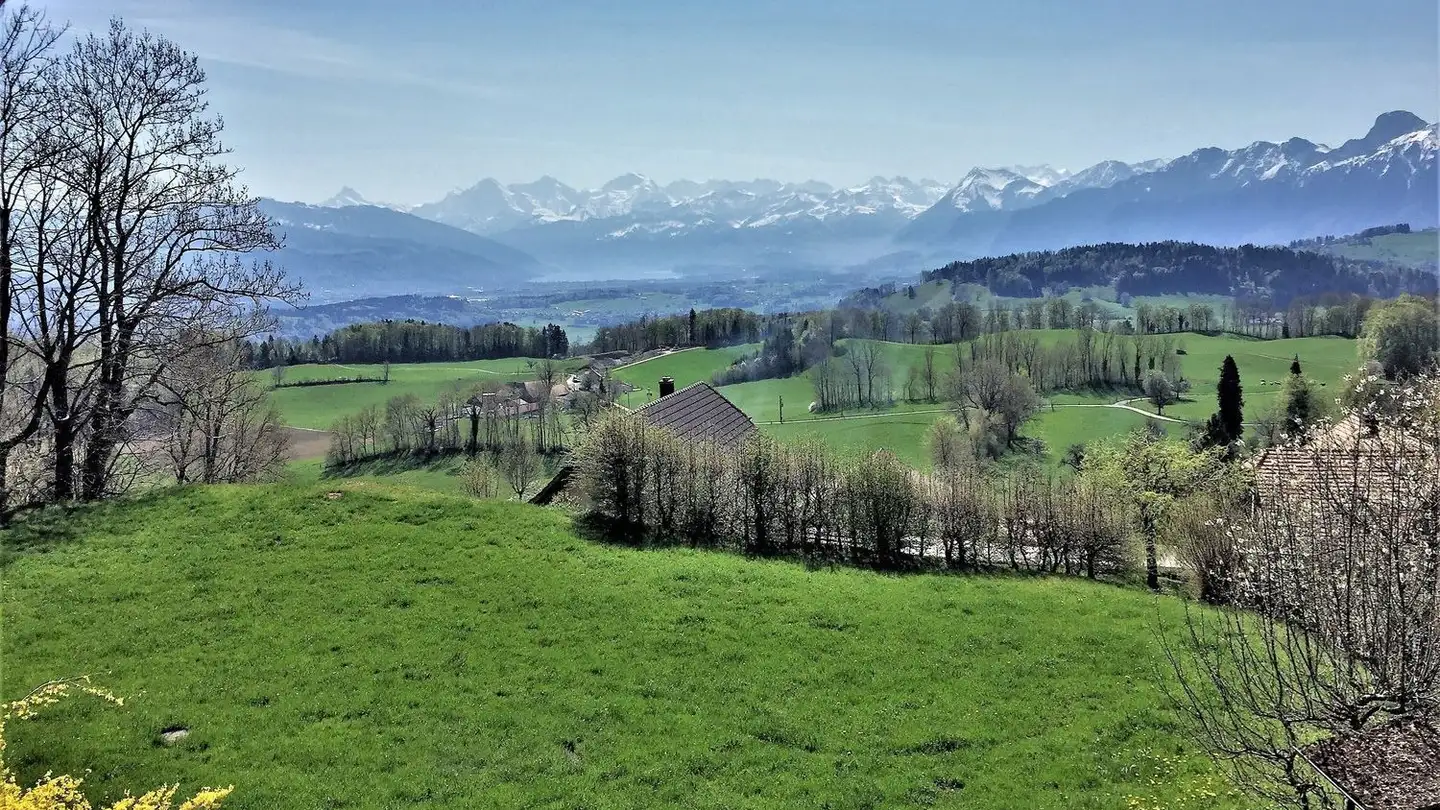 Maison individuelle à louer - Taangässli 2, 3132 Riggisberg - Photo 4