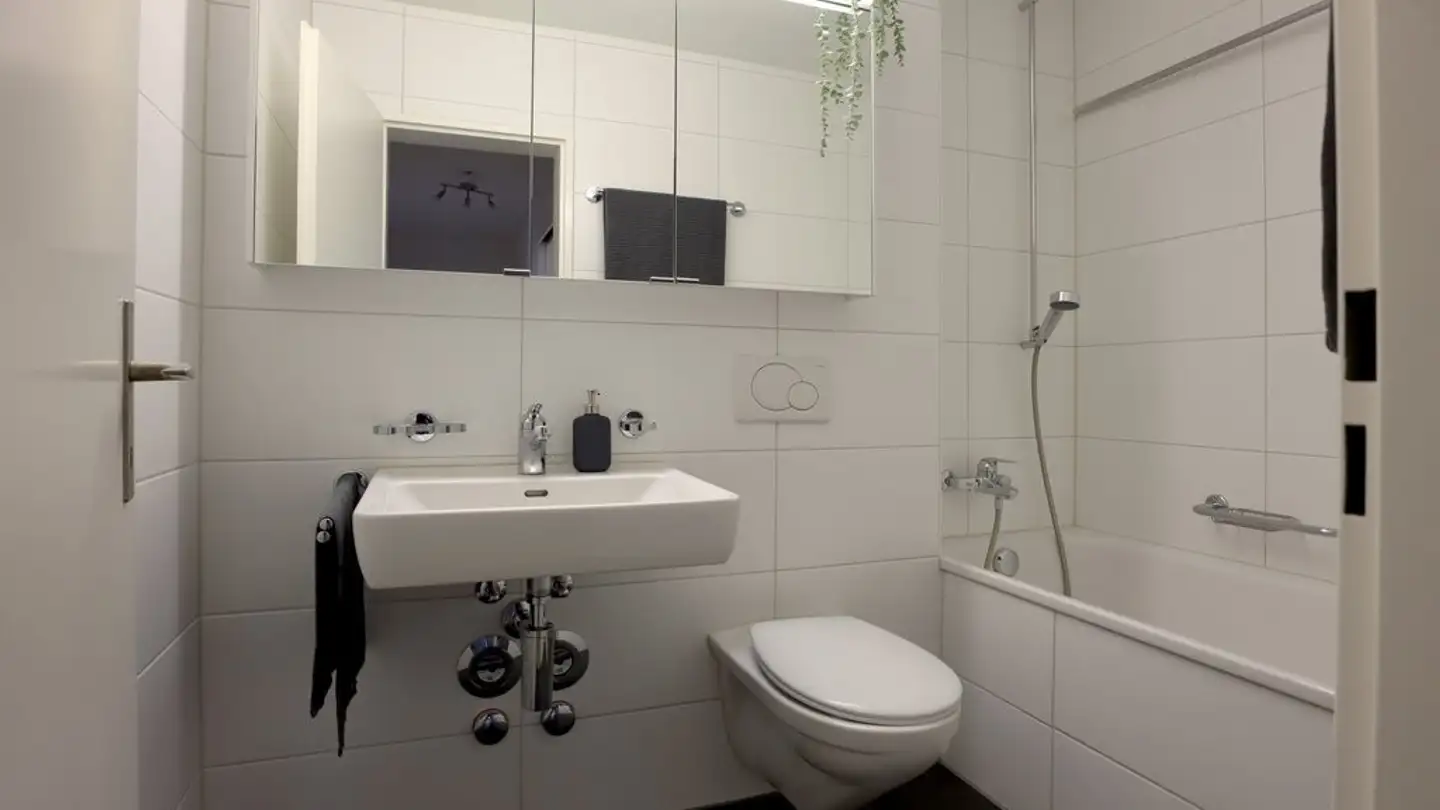 Appartamento in affitto - Tschäpperliring 6, 4153 Reinach BL - Foto 3