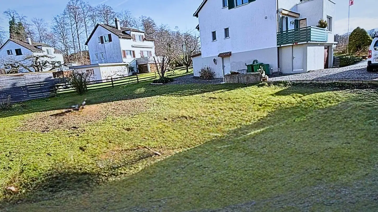 Einfamilienhaus mieten - Fägswilerstrasse 7, 8630 Rüti ZH - Foto 2